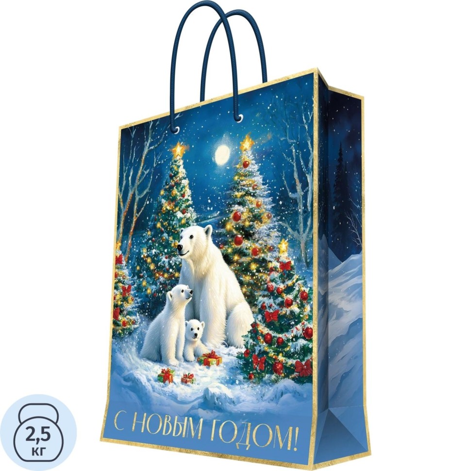 Пакет подарочный д/сувенирной продукции 140 г/м2 33x45,7x10,2см арт.96383FE