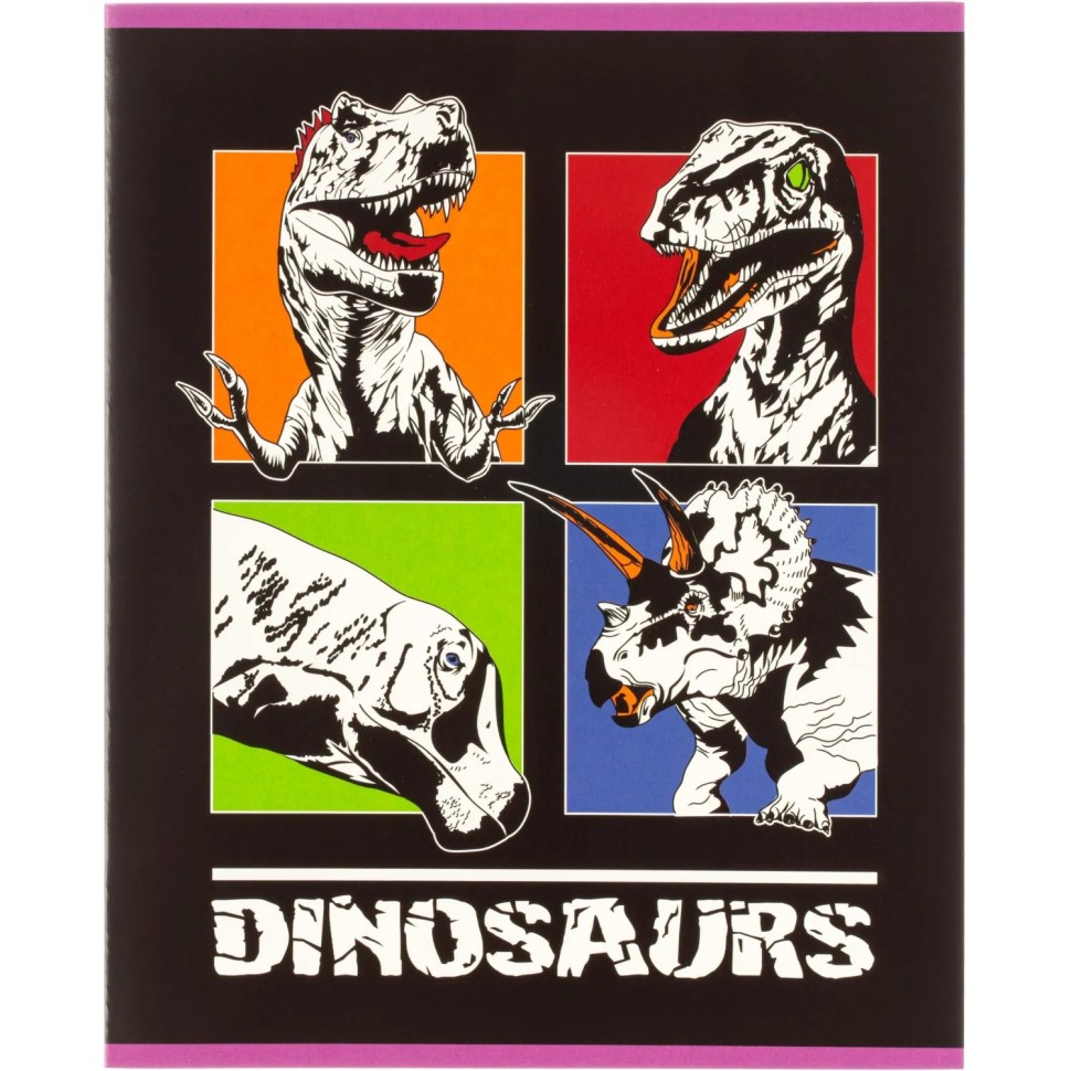 Тетрадь общая А5 48л с полями, клетка, микс в ассортименте, 40шт/уп Тетрадь общая А5 48л с полями, клетка, микс в ассортименте, 40шт/уп