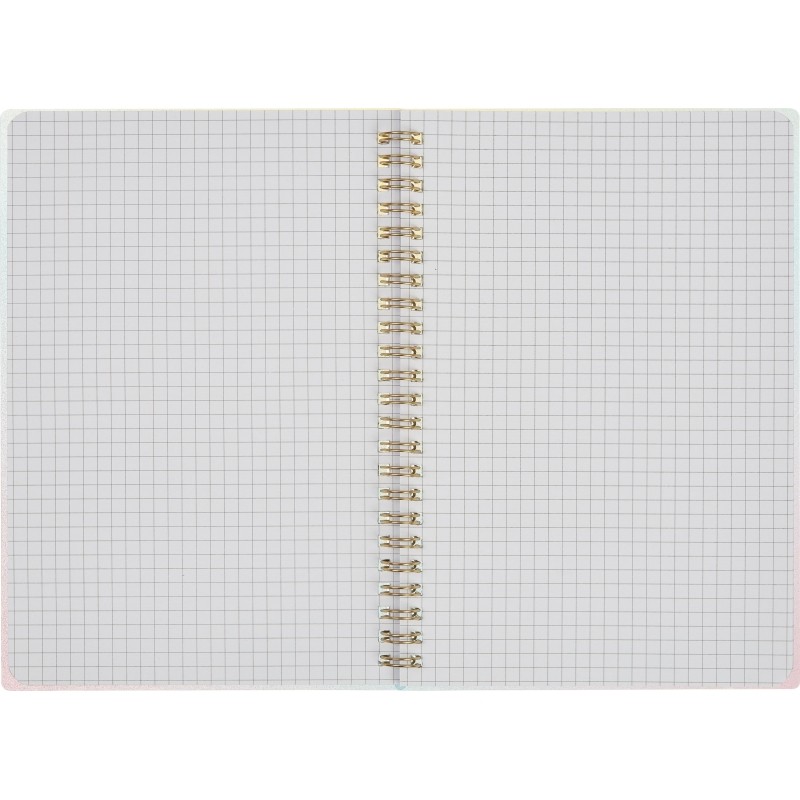 Бизнес-тетрадь Attache Selection Rainbow A5 80л,клетка,спираль145х208мм