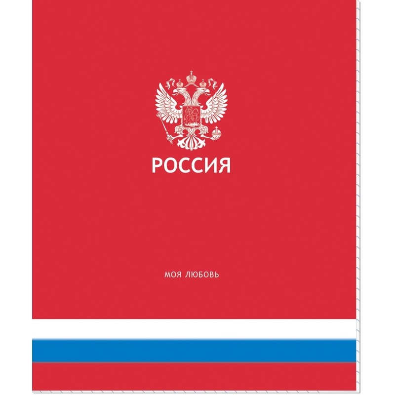 Тетрадь общая Россия А5 48л клетка скрепка обл. картон, ассорти 21с18