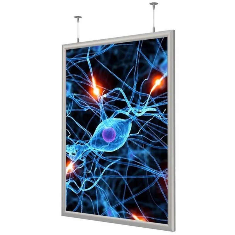 Панель световая ProMEGA Frame LED 1стор тросы А1+ (624х871) раз.пл. 594х841