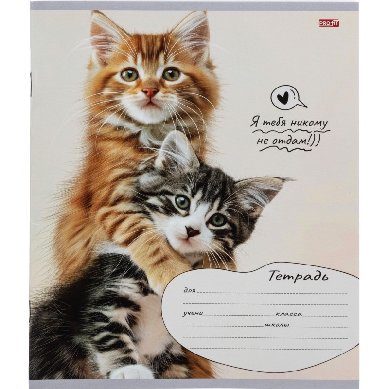 Тетрадь клетка 12л. Кошачьи парочки, ассорти, 12-4281