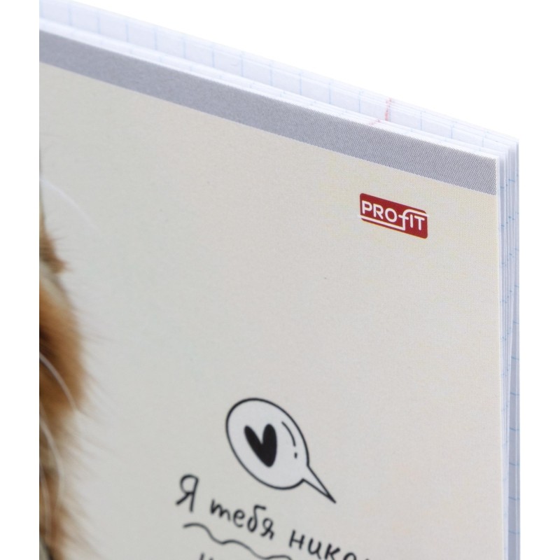 Тетрадь клетка 12л. Кошачьи парочки, ассорти, 12-4281