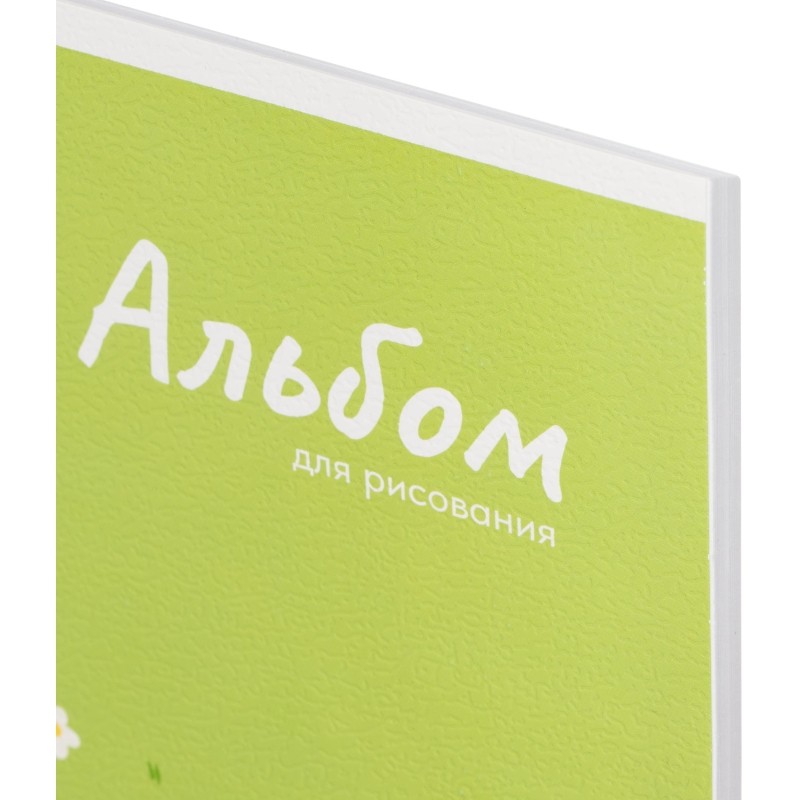 Альбом для рисования ПАНДА НА ЛУЖАЙКЕ А4, 40л,скрепка 70062