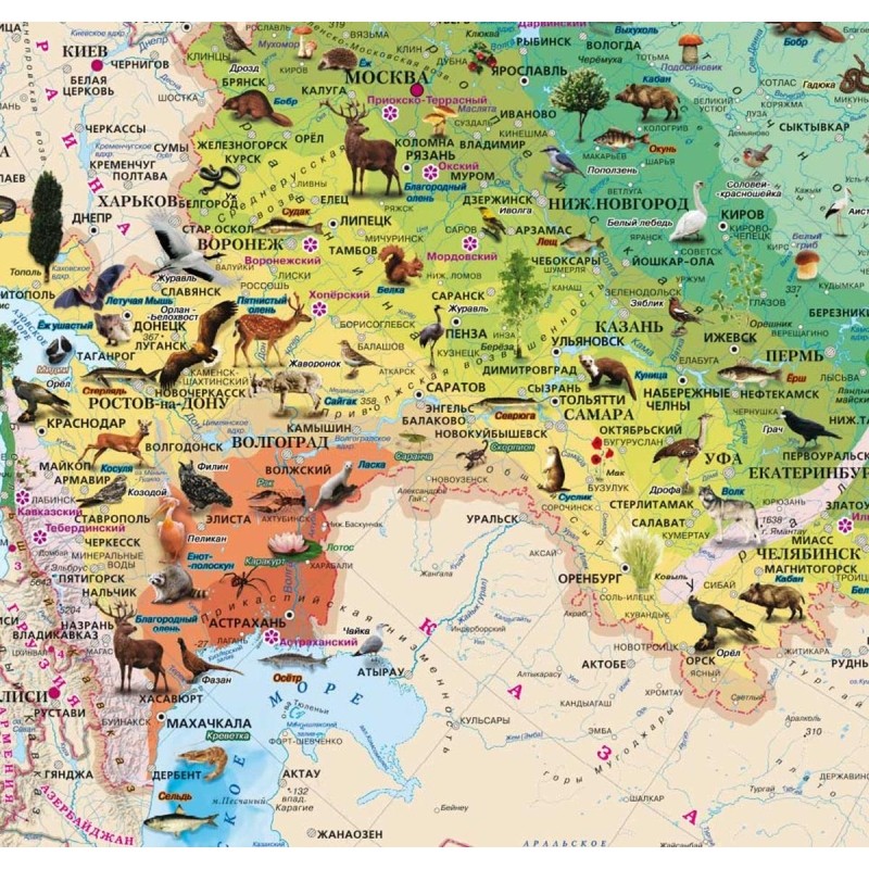 Карта настенная Россия. Природные зоны, животные и растения 1,43х1,02м,КН82