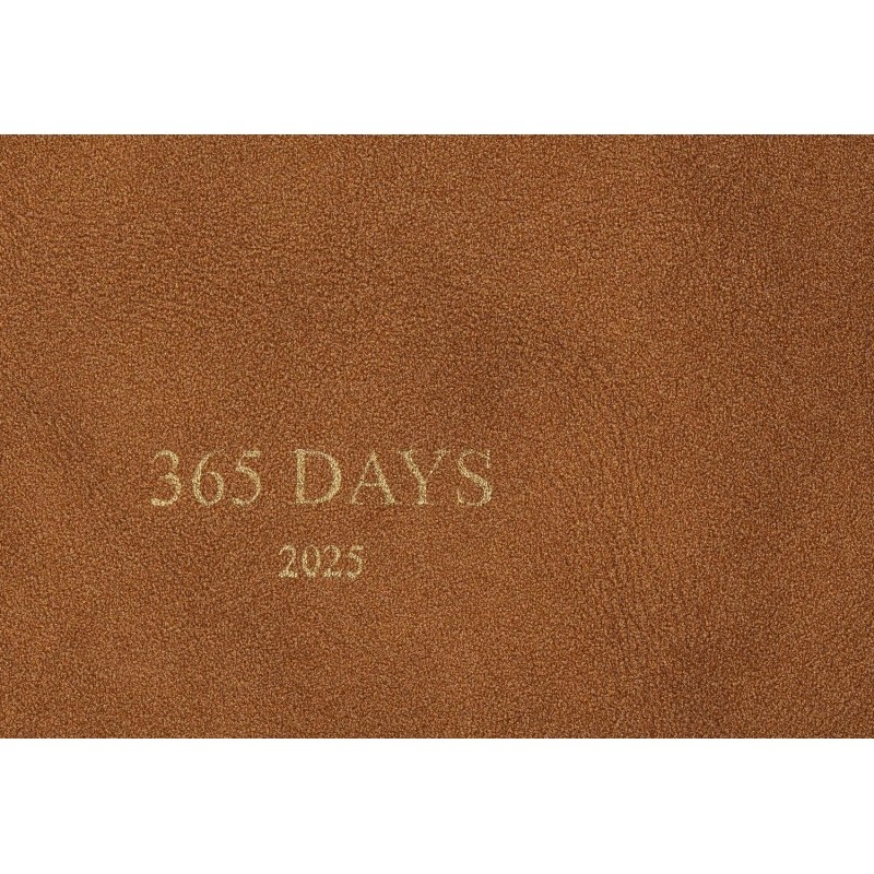 Ежедневник датированный 2025 IF 14х20см 176л. мягк 365days I1617/dark-brown