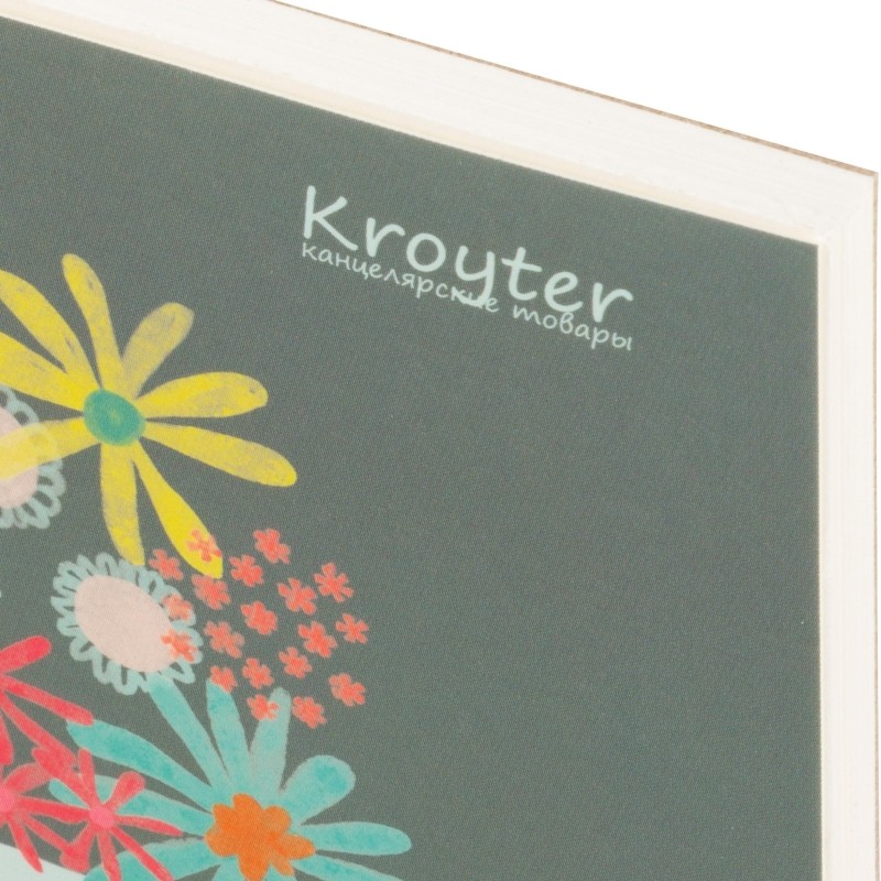 Альбом д/рис акварелью Kroyter 30л,склейка,А5,160гр,Природа 2шт/уп 64003