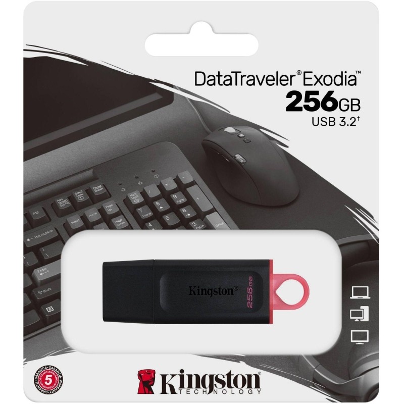 Флеш-память Kingston DataTraveler Exodia, USB 3.2 G1, роз/чер, DTX/256GB