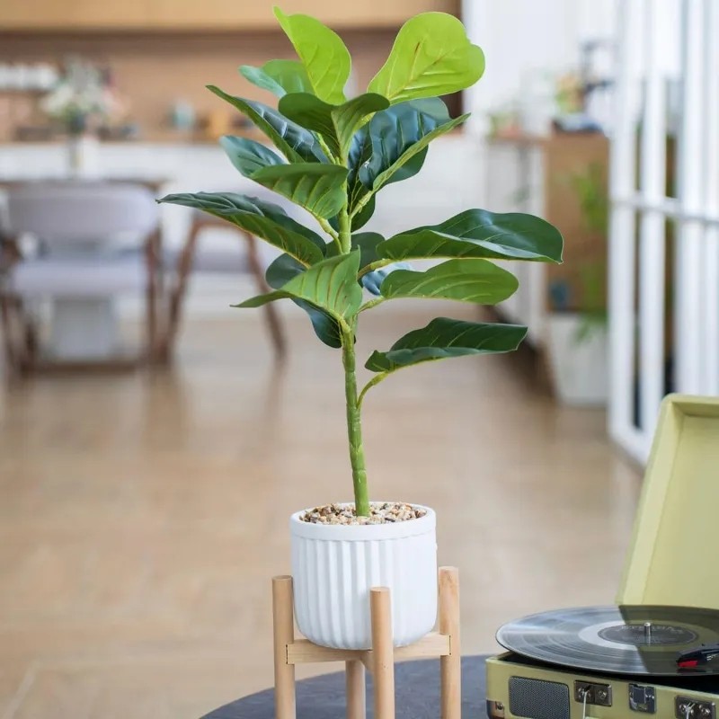 Дерево Цветок искусственный Фикус в цементн горшке,Д140 Ш140 В690,Mia7