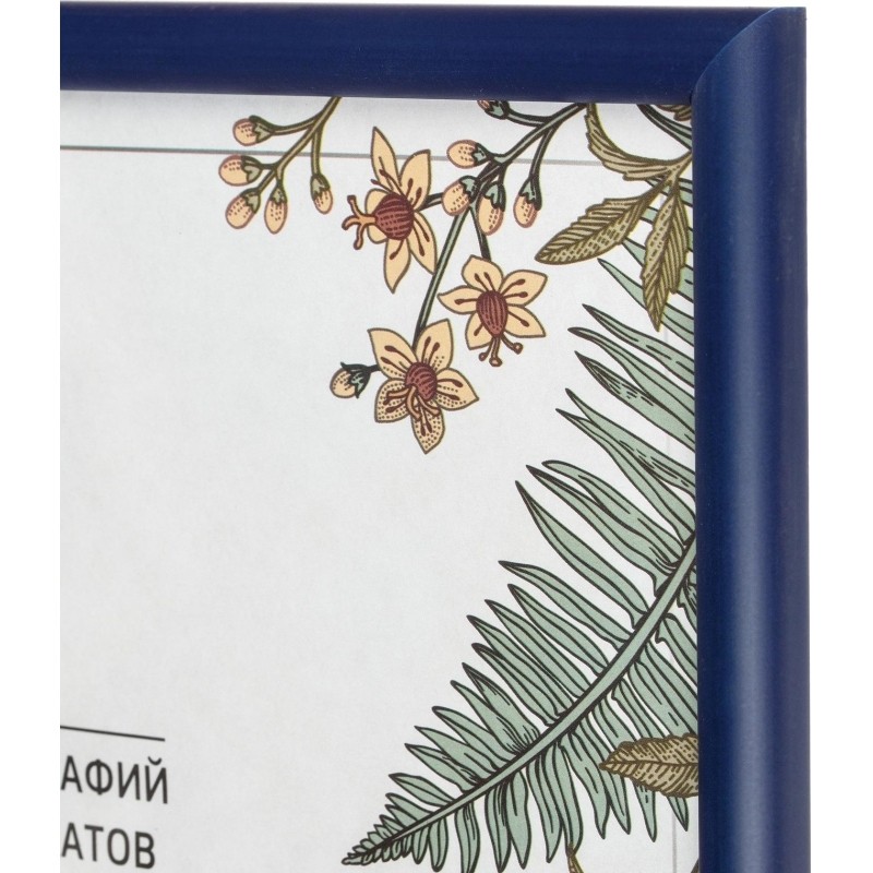 Рамка А4 21x30 см Комус/ATTACHE пластиковый багет 14мм синяя