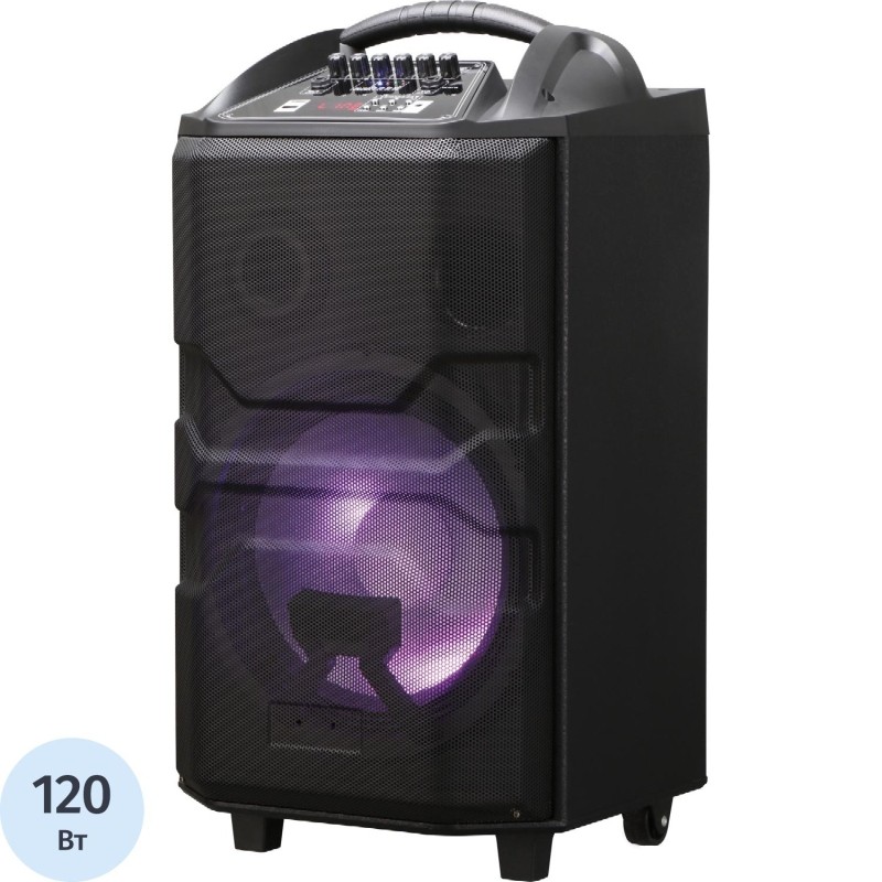 Акустическая система National NSM-V550, 120Вт