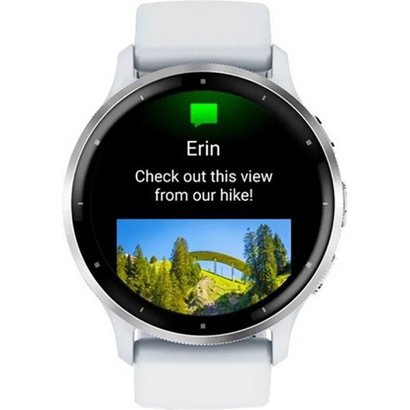 Смарт-часы Garmin VENU 3 Silver, 010-02784-00