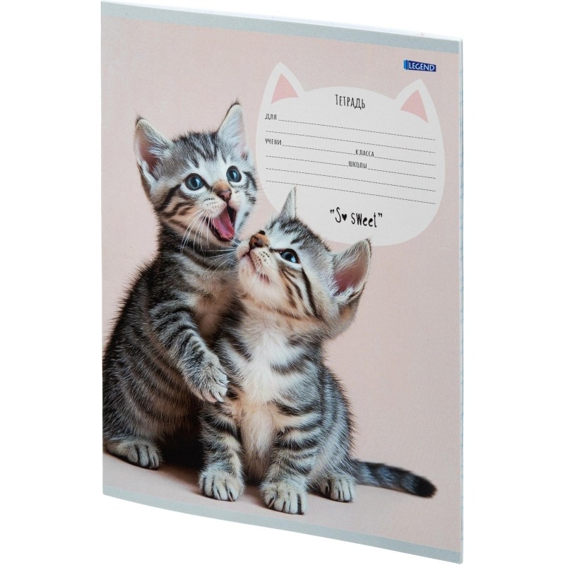 Тетрадь коса линия 12 л. Милые парочки котиков, ассорти, 12-4159