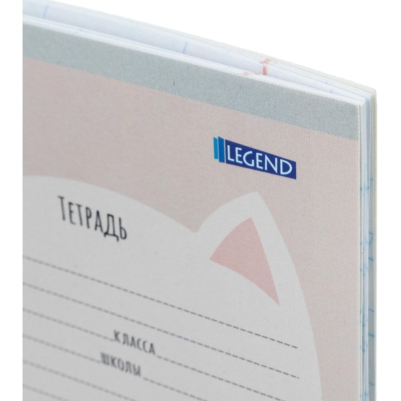 Тетрадь коса линия 12 л. Милые парочки котиков, ассорти, 12-4159