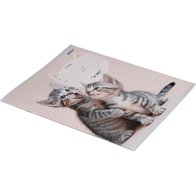 Тетрадь коса линия 12 л. Милые парочки котиков, ассорти, 12-4159