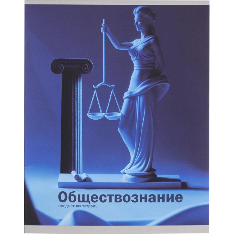 Тетрадь предметная 48л. &#039;НА УРОКЕ&#039;, набор 12 шт., 48-2380