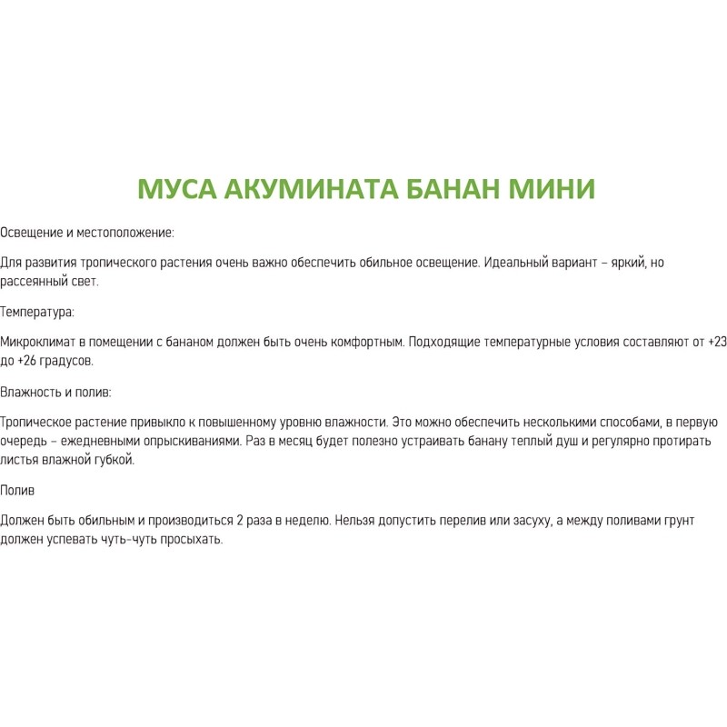 Набор из 2х растений Муса акумината банан мини 6 в тех. горшке, РМ110-2