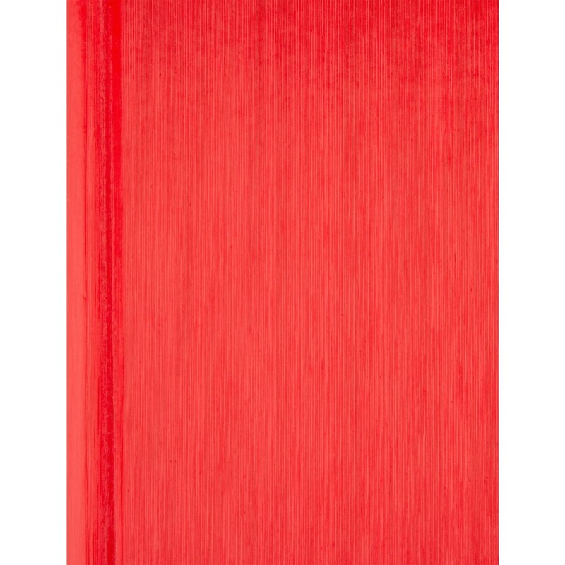 Ежедневник недатированный Attache Rain, А5, 160 л, красный