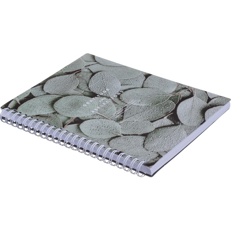 Тетрадь общая, BS, А5, 120л., клетка, спираль. Botanica, эвкалипт N4199